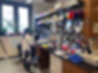 J-L Casanova Lab.jfif