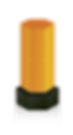 3395284orange.png