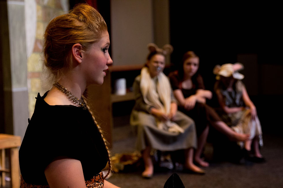 Stepmother, Mice, and Cinderella