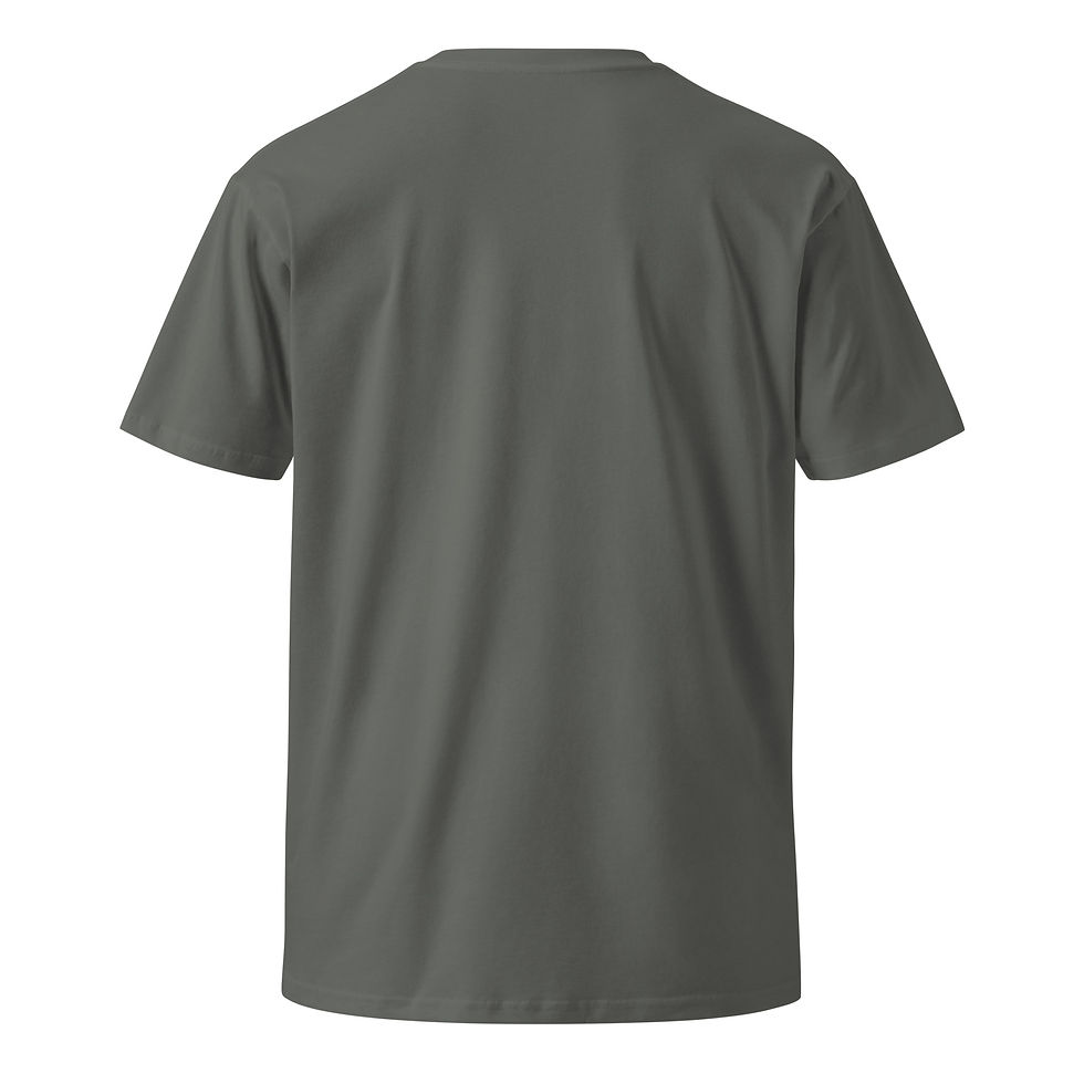 Thumbnail: Unisex premium t-shirt Eagles Bluff Cottage 2