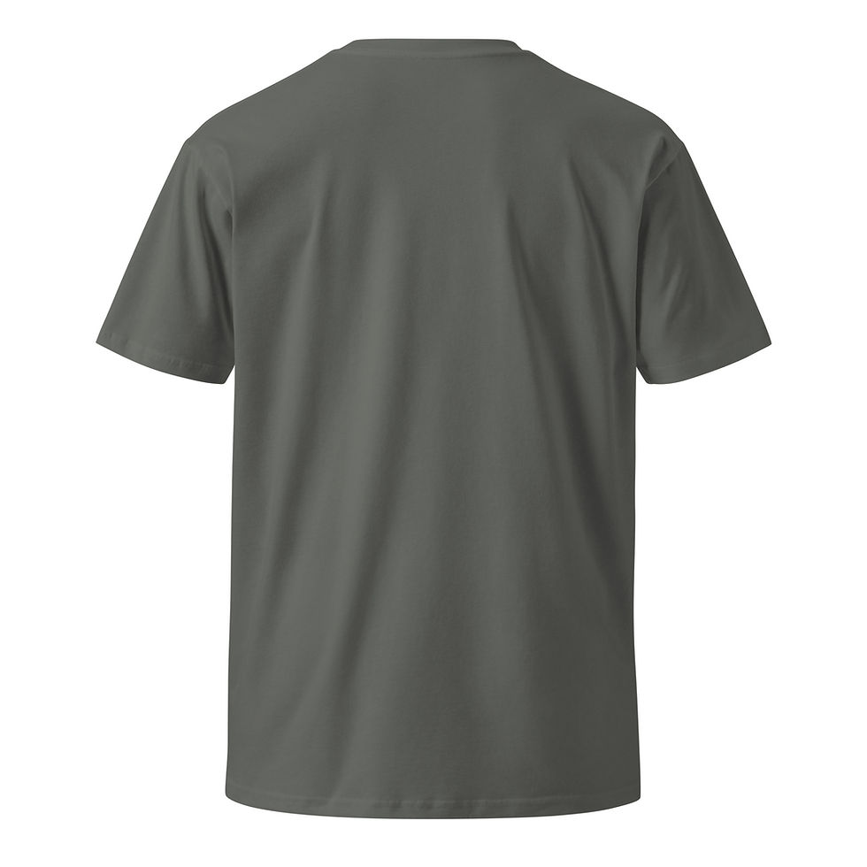 Thumbnail: Unisex premium t-shirt Perrydise