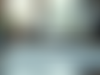 Roles and Responsibilities of a Fractional CAO: A Guide to Fractional CAO Responsibilities