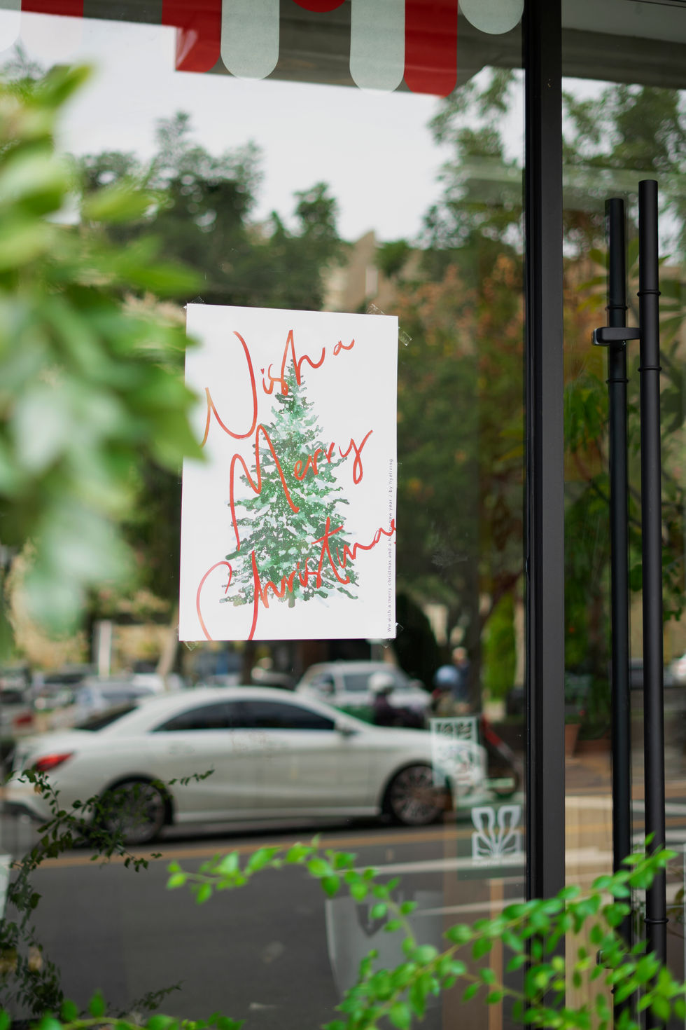 種一棵屬於自己的聖誕樹