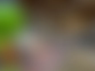 Interior of Coffee & Bark coffee shop in Hazel Park Michigan