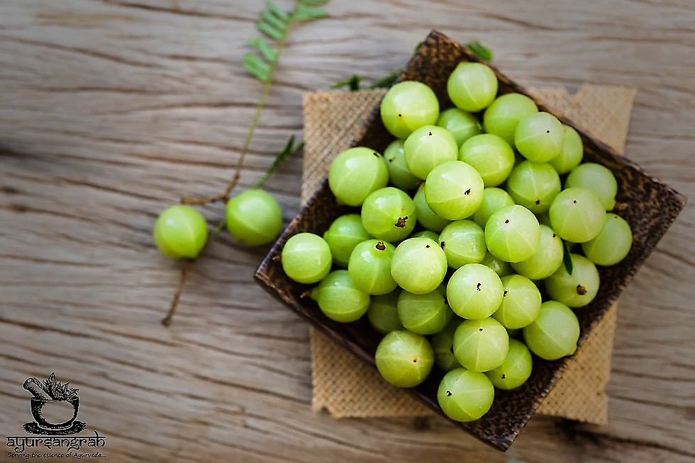 Fresh Amla fruits in a wooden plate resting on a wooden table, showcasing the natural and rustic presentation of Indian gooseberries, also known as Amritphala - Ayursangrah