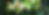 Peepal_Life_Tree- AyurSangrah AgroHerbals-Blog3