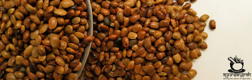 A close-up of dried horse gram seeds (kulthi) highlighting their dark brown color and unique shape