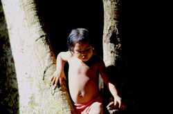 Varinawa Vakehu_Bomfim