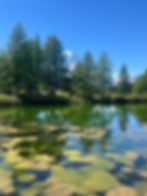 Evolution Zermatt guided hiking tours