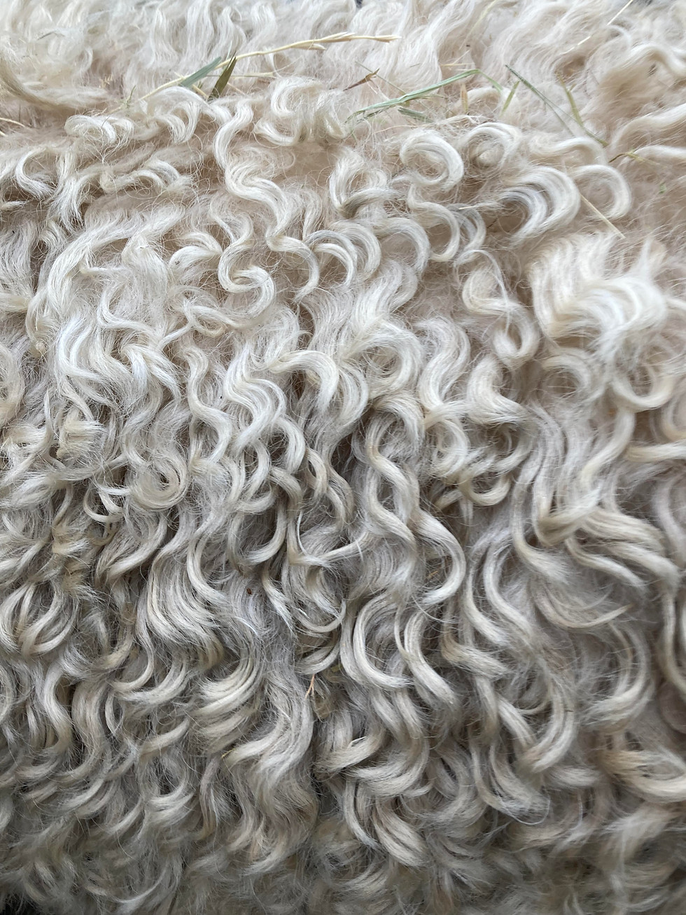 Close up of Hermes coat