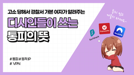 (개념글)디시에서 통피 추적,고소를 막는법 VS 뚫는법