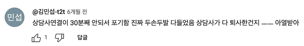 (스카이라이프의 상담사 연결에 불만을 표하는 유튜브 유저의견)