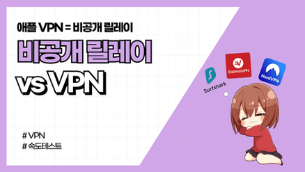 비공개 릴레이 진짜 쉽게 개념정리 (+vs VPN 차이)