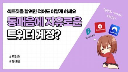 (개념글) 통매음 안걸리는 트위터 계정 만드는 법 