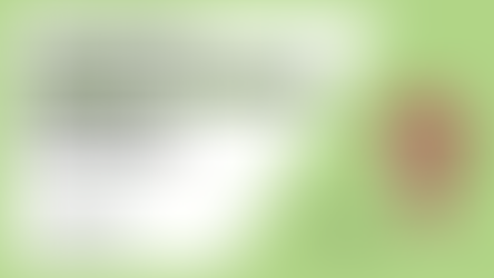 2026년 기준 포장이사 업체 순위 (+한계점 분명)