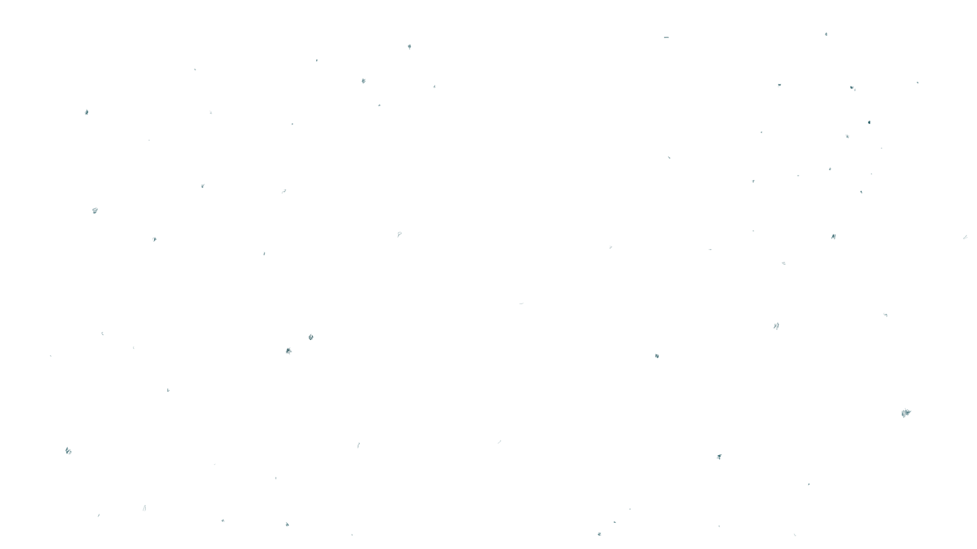 Steve & Brother Landscaping work 3