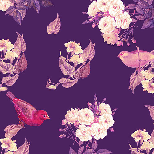 Regency Dark (BridgertonInspired) Fabric Kimberly Casey Carr