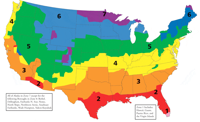 R-value map