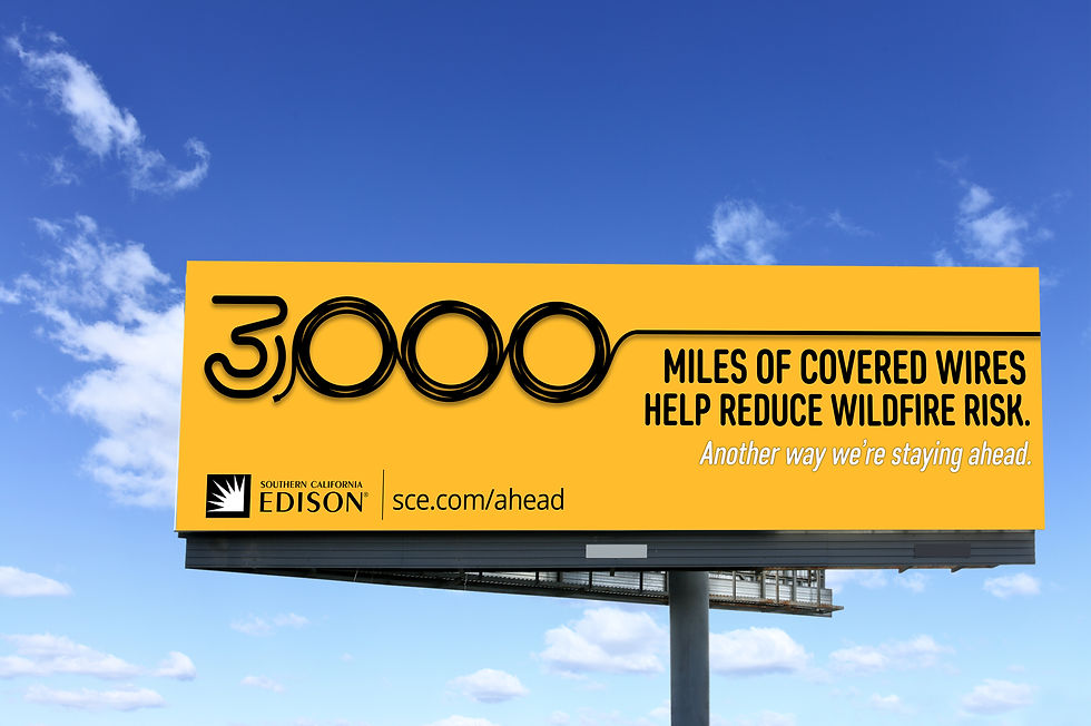 SCE PAGE COMP OOH.jpg