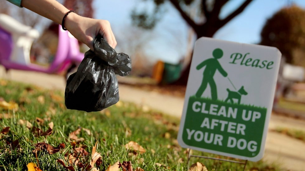 Washington DC Communities Are Sitting on an Environmental Problem They Don't Know They Have — And It's Closer Than You Think