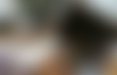 金融視角下的會計專業發展與制度探討