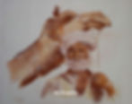 DSC02353_edited