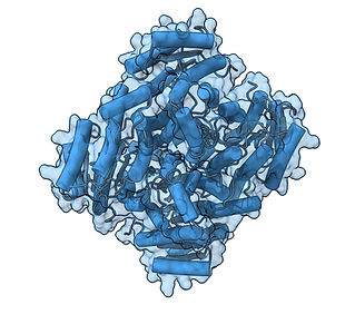 Alcohol dehydrogenase_1nxq_edited_edited