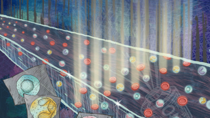 Ultra-fast imaging of single cells