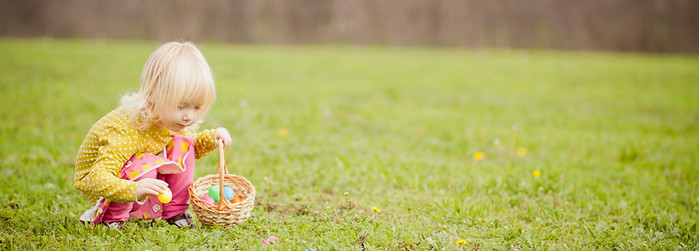 Searching for Easter Eggs