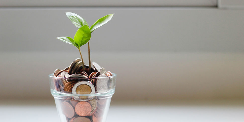 Money growing