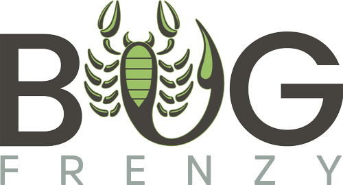 logo.gif