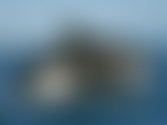 Are we going to watch this Animal Abuse happen??