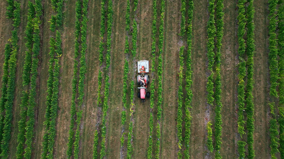 Still 2024-11-22 142028_1.3.1.jpg