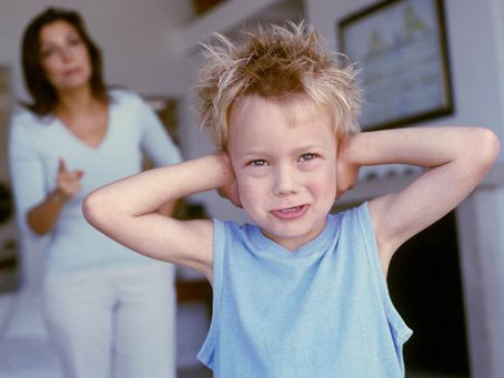 О понимании