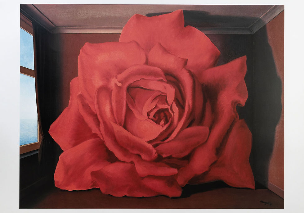 rosa.jpg