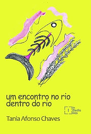 capa final frontal Tania AfonsoChaves.jpeg