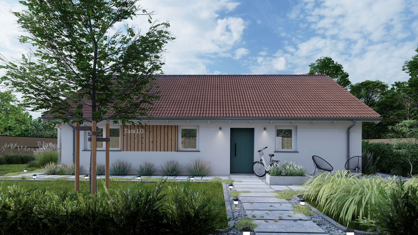 Tani Dom 1.0 Widok od frontu