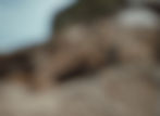 FullSizeRender 12_edited.jpg