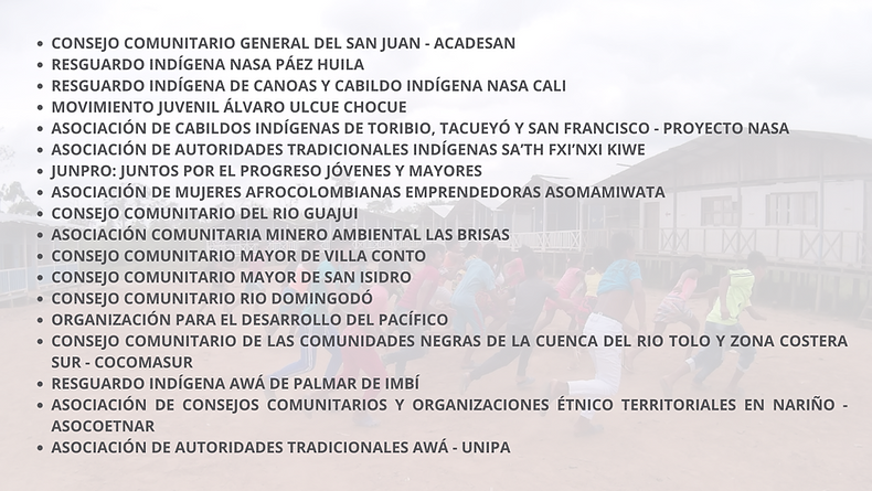 Seleccionadas (6).png