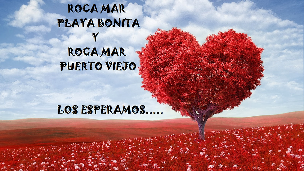 Valentine Free Wallpaper (1)