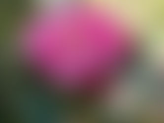 Dia do Trabalho: Collaborators!