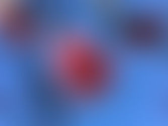 The Cherry Tree of Love: quem planta beleza, colhe amor!