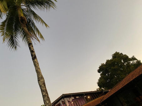 We're in this together: somos humanos, frágeis e únicos