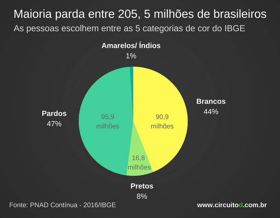 O Que Significa Ibge E Qual A Sua Função