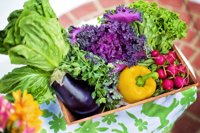 The Nutritional Assessment
