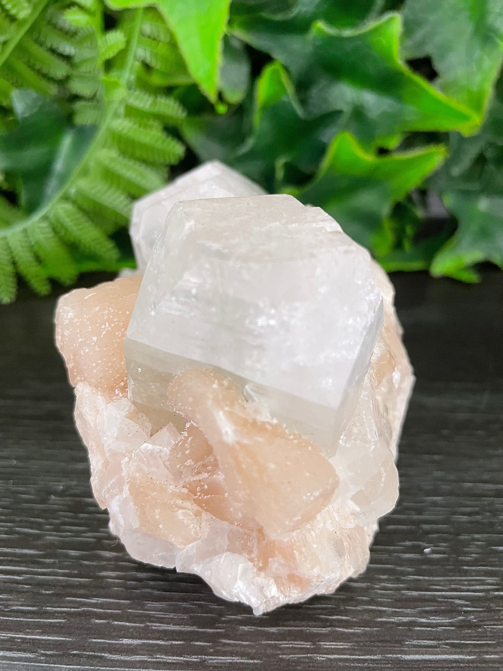 Thumbnail: Apophyllite Crystal Cluster