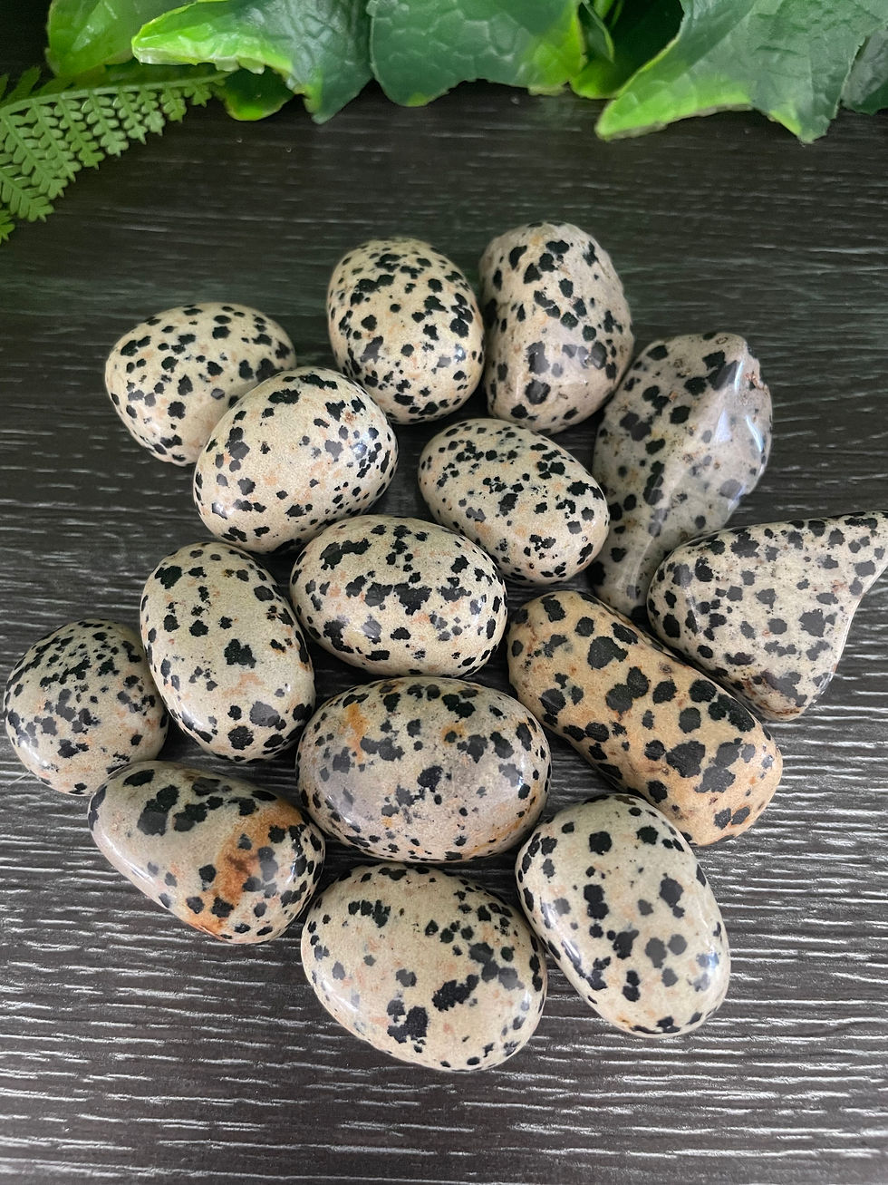 Dalmatian Jasper Crystal Tumble Stone