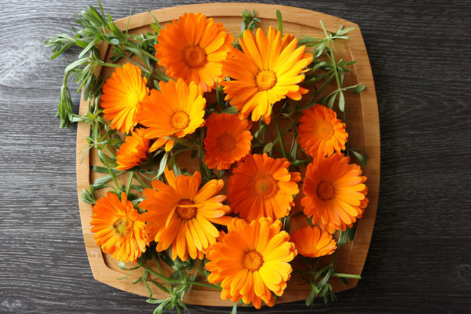 Herbal Skin Healers