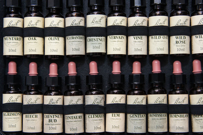 The Beautiful Flower Essences