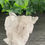 Thumbnail: Clear Quartz Crystal Cluster